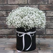 Цветочная композиция из Гипсофила в шляпной коробке #REPLACE_PRED# Усть-Илимске