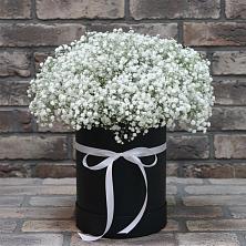 Цветочная композиция из Гипсофила в шляпной коробке в Усть-Илимске
