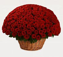 Премиум букет из: Розы в Усть-Илимске